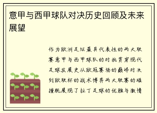意甲与西甲球队对决历史回顾及未来展望